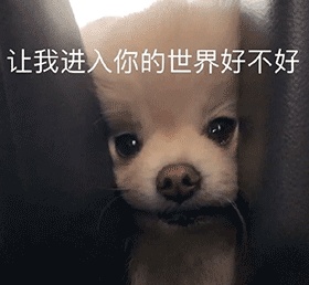 动态表情头像