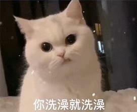 动态表情头像