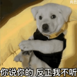 动态表情头像