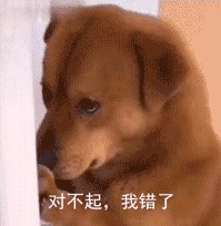 动态表情头像