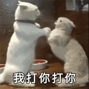 动态表情头像