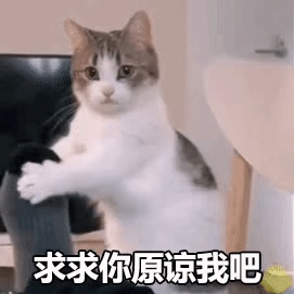 动态表情头像