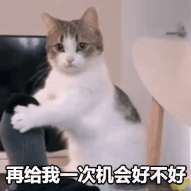 动态表情头像