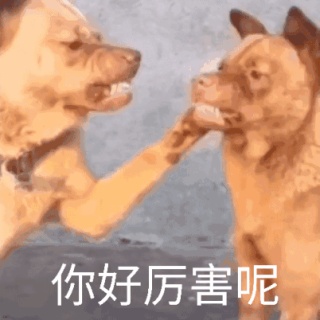 动态表情头像