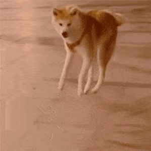 动态表情头像