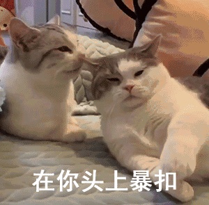 动态表情头像