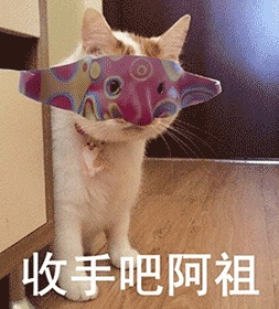 动态表情头像