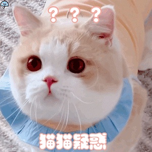 动态表情头像