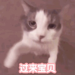 动态表情头像