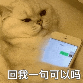 动态表情头像