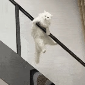 动态表情头像
