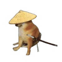 动态表情头像