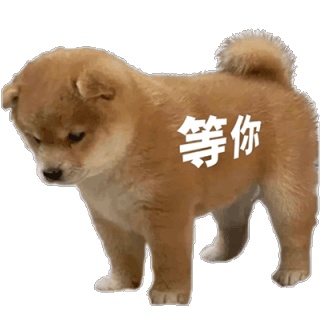 动态表情头像