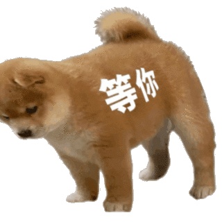 动态表情头像
