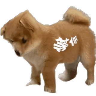 动态表情头像
