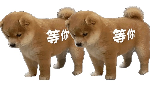 动态表情头像