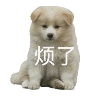 动态表情头像