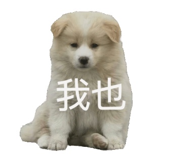 动态表情头像