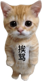 动态表情头像