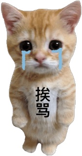 动态表情头像