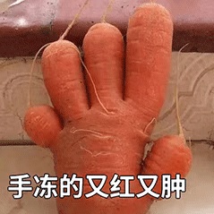 动态表情头像