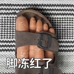 动态表情头像