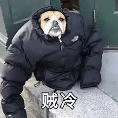 动态表情头像
