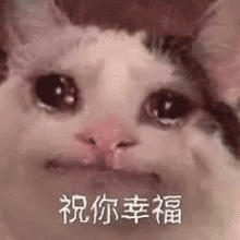 动态表情头像