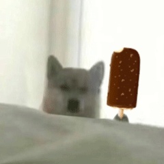 动态表情头像