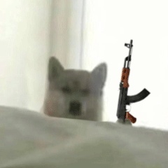 动态表情头像