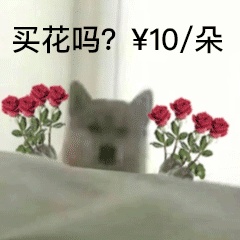 动态表情头像