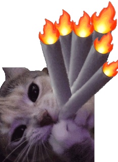 动态表情头像