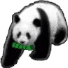 动态表情头像