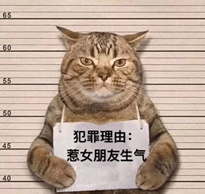 动态表情头像