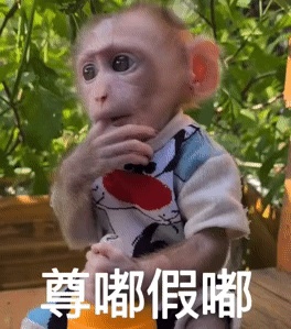 动态表情头像