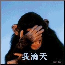 动态表情头像